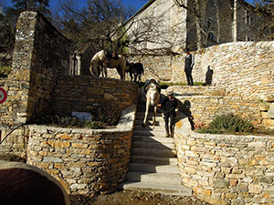 Down the Steps